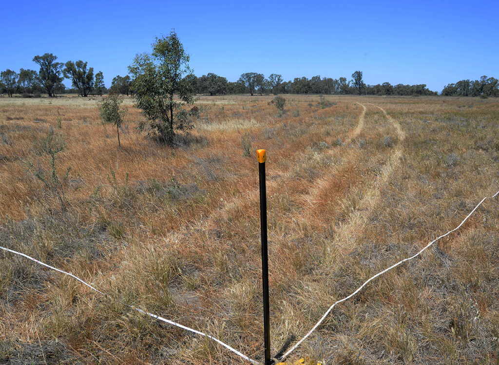 Brolga Swamp monitoring point