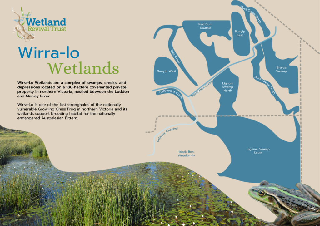 Wirra-lo Wetlands - Wetland Revival Trust