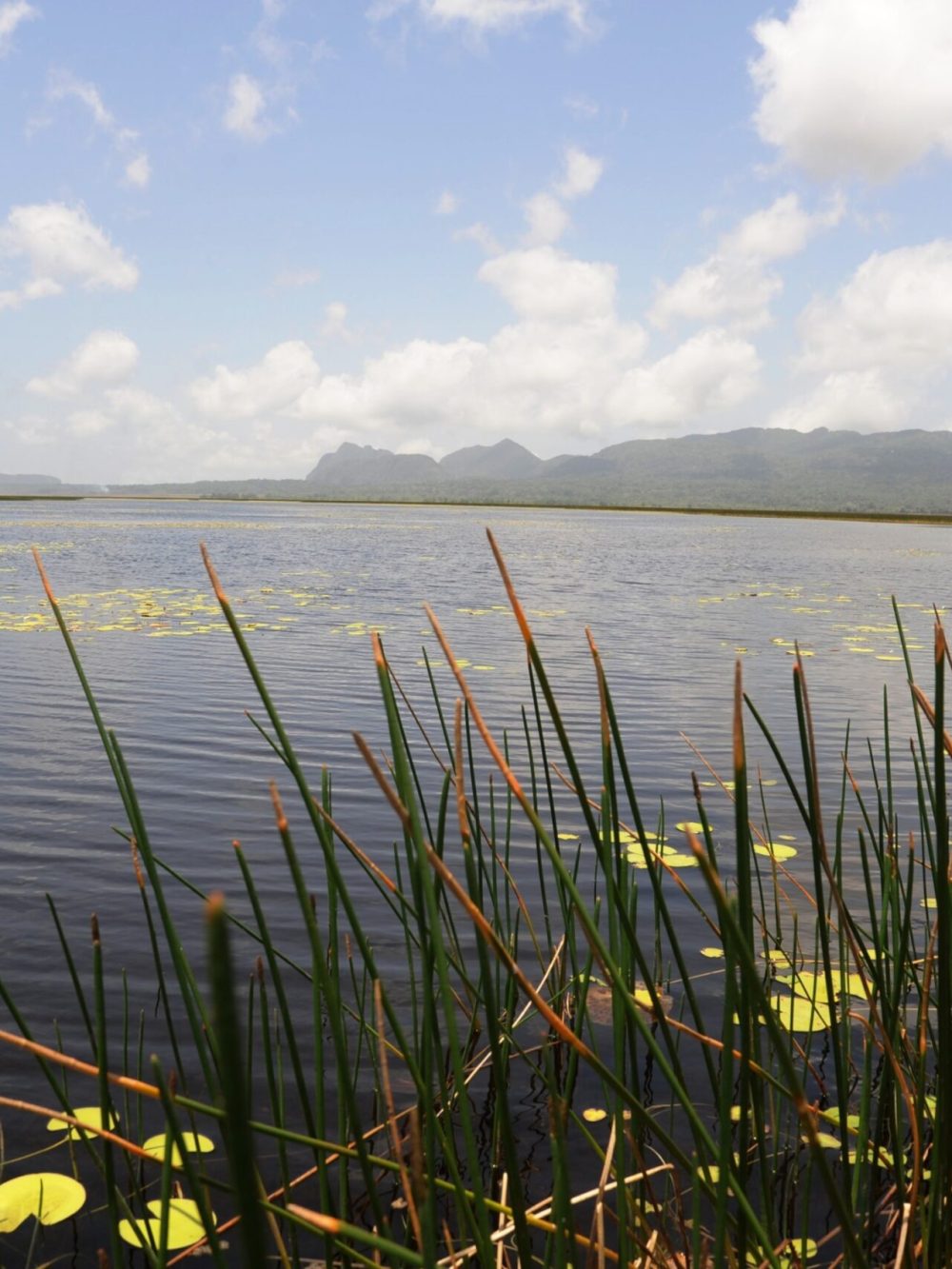 Lake Iralalaro, Timor Leste