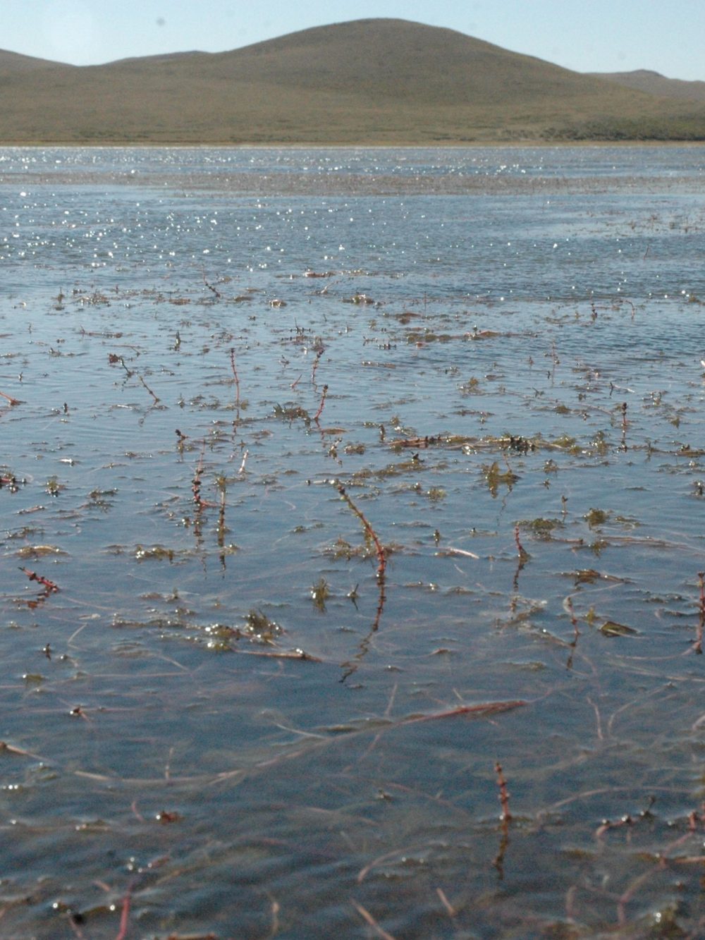 Lake Zhages Tai, Inner Mongolia