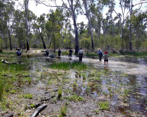 participants at wetland course